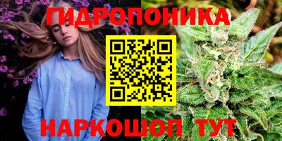 крисы Ипатово